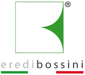 Logo Bossini